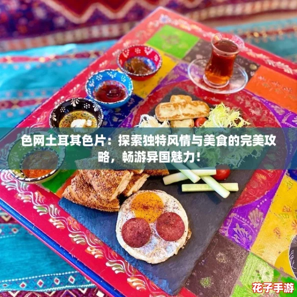 色网土耳其色片：探索独特风情与美食的完美攻略，畅游异国魅力！
