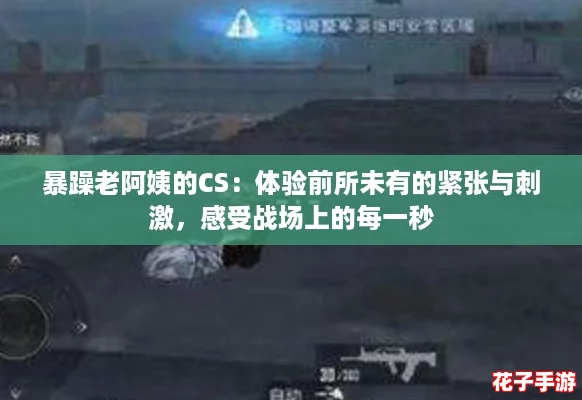 暴躁老阿姨的CS：体验前所未有的紧张与刺激，感受战场上的每一秒