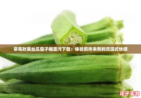 草莓秋葵丝瓜茄子榴莲污下载：体验前所未有的沉浸式快感
