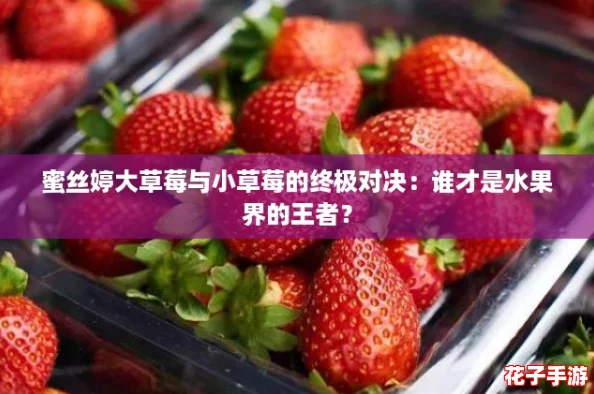 蜜丝婷大草莓与小草莓的终极对决：谁才是水果界的王者？