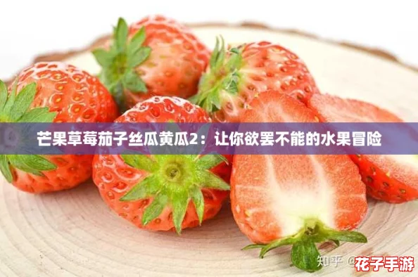 芒果草莓茄子丝瓜黄瓜2：让你欲罢不能的水果冒险