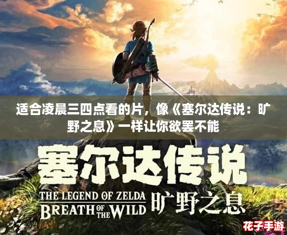适合凌晨三四点看的片，像《塞尔达传说：旷野之息》一样让你欲罢不能