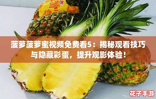 菠萝菠萝蜜视频免费看5：揭秘观看技巧与隐藏彩蛋，提升观影体验！