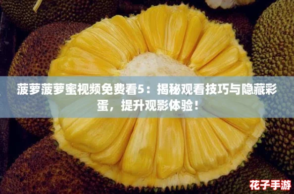 菠萝菠萝蜜视频免费看5：揭秘观看技巧与隐藏彩蛋，提升观影体验！