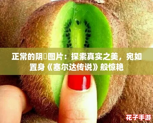 正常的阴脣图片：探索真实之美，宛如置身《塞尔达传说》般惊艳