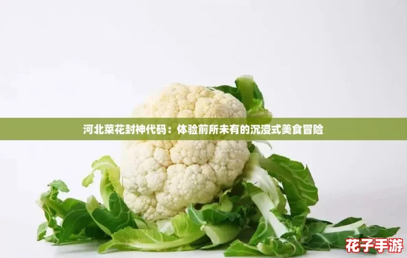 河北菜花封神代码：体验前所未有的沉浸式美食冒险
