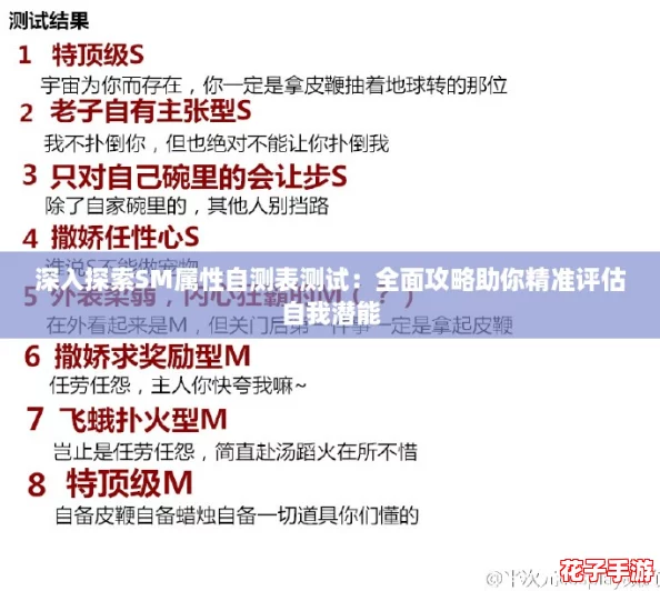 深入探索SM属性自测表测试：全面攻略助你精准评估自我潜能