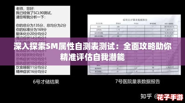 深入探索SM属性自测表测试：全面攻略助你精准评估自我潜能