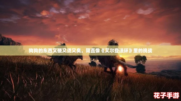 狗狗的东西又硬又烫又臭，简直像《艾尔登法环》里的挑战