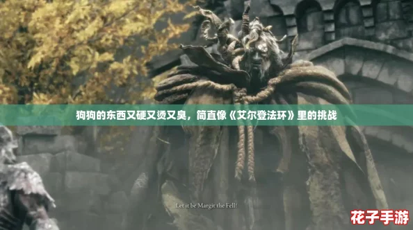 狗狗的东西又硬又烫又臭，简直像《艾尔登法环》里的挑战