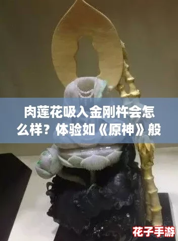 肉莲花吸入金刚杵会怎么样？体验如《原神》般震撼，无需会员特权！