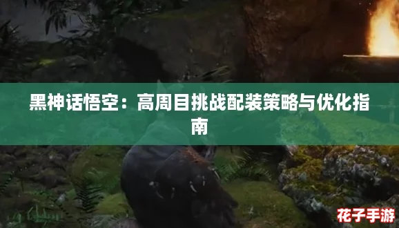 黑神话悟空：高周目挑战配装策略与优化指南