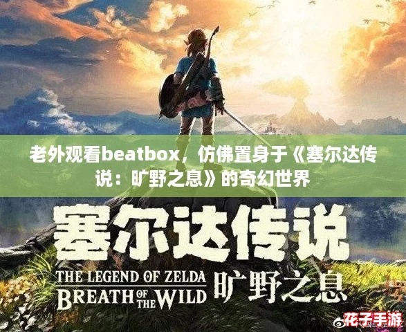 老外观看beatbox，仿佛置身于《塞尔达传说：旷野之息》的奇幻世界