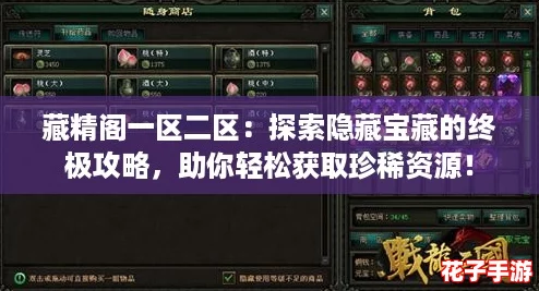 藏精阁一区二区：探索隐藏宝藏的终极攻略，助你轻松获取珍稀资源！