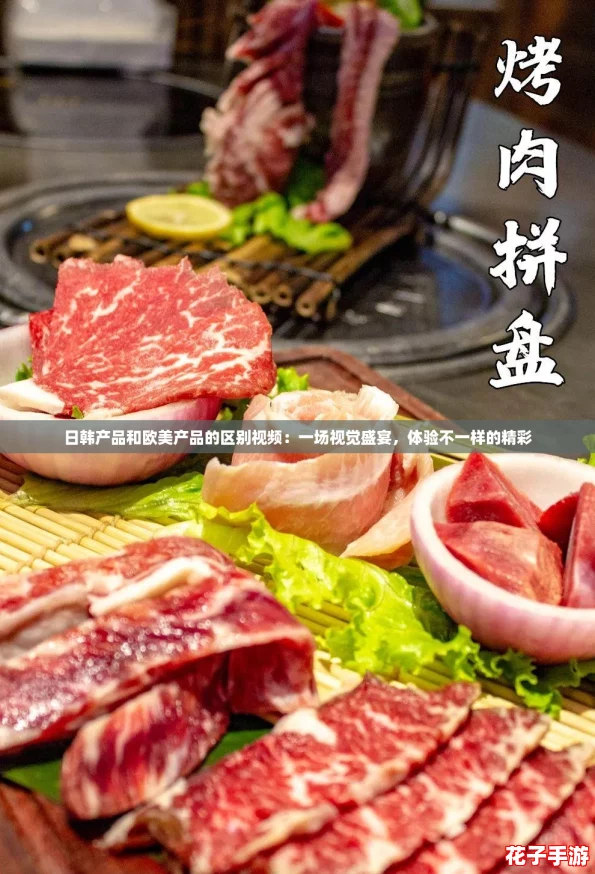 日韩产品和欧美产品的区别视频：一场视觉盛宴，体验不一样的精彩