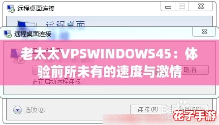 老太太VPSWINDOWS45：体验前所未有的速度与激情