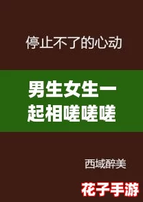 男生女生一起相嗟嗟嗟网站：揭秘如何在这里找到志同道合的朋友与恋爱攻略