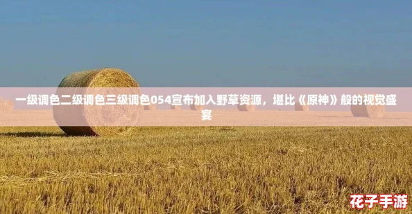 一级调色二级调色三级调色054宣布加入野草资源，堪比《原神》般的视觉盛宴