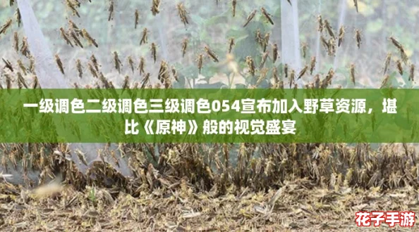 一级调色二级调色三级调色054宣布加入野草资源,堪比《原神》般的视觉盛宴 一级调色二级调色三级调色054宣布加入野草资源,堪比《原神》般的视觉盛宴