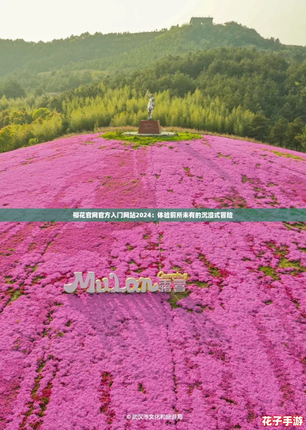 樱花官网官方入门网站2024:体验前所未有的沉浸式冒险 樱花官网官方入门网站2024:体验前所未有的沉浸式冒险