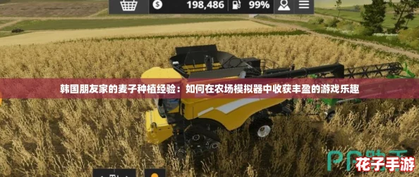 韩国朋友家的麦子种植经验：如何在农场模拟器中收获丰盈的游戏乐趣