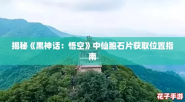 揭秘《黑神话：悟空》中仙胞石片获取位置指南