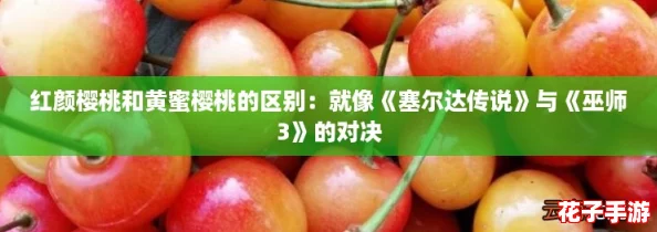 红颜樱桃和黄蜜樱桃的区别：就像《塞尔达传说》与《巫师3》的对决