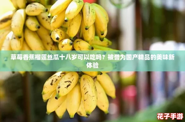 草莓香蕉榴莲丝瓜十八岁可以吃吗?被誉为国产精品的美味新体验 草莓香蕉榴莲丝瓜十八岁可以吃吗?被誉为国产精品的美味新体验