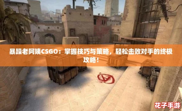 暴躁老阿姨CSGO:掌握技巧与策略,轻松击败对手的终极攻略! 暴躁老阿姨CSGO:掌握技巧与策略,轻松击败对手的终极攻略!