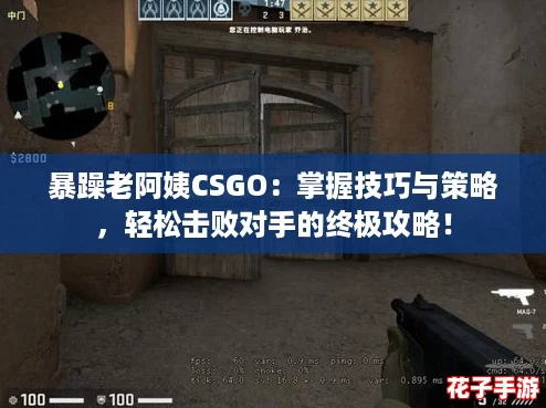 暴躁老阿姨CSGO:掌握技巧与策略,轻松击败对手的终极攻略! 暴躁老阿姨CSGO:掌握技巧与策略,轻松击败对手的终极攻略!
