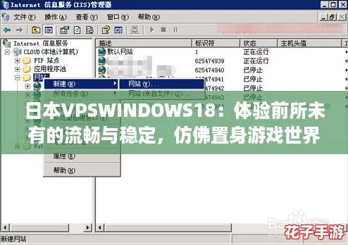 日本VPSWINDOWS18：体验前所未有的流畅与稳定，仿佛置身游戏世界