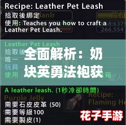 全面解析：奶块英勇法袍获取途径与合成配方指南