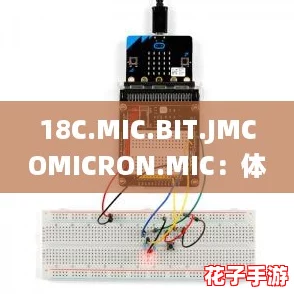18C.MIC.BIT.JMCOMICRON.MIC：体验前所未有的沉浸式冒险