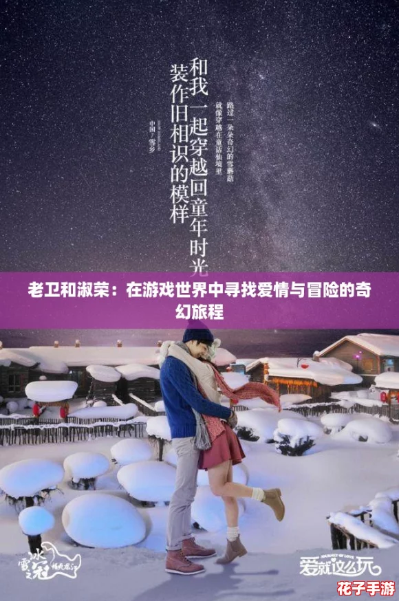 老卫和淑荣：在游戏世界中寻找爱情与冒险的奇幻旅程