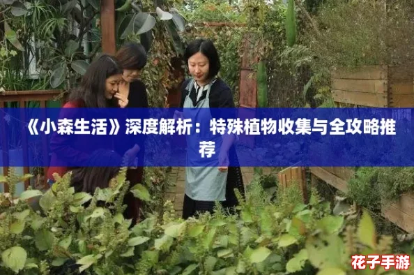 《小森生活》深度解析：特殊植物收集与全攻略推荐