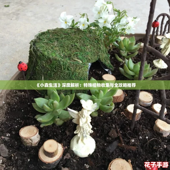 《小森生活》深度解析：特殊植物收集与全攻略推荐