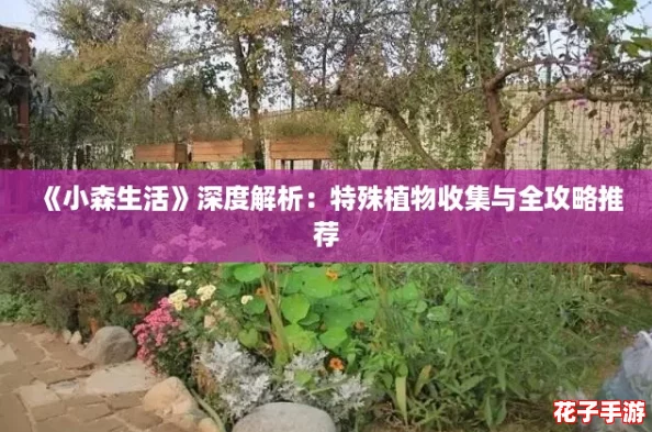 《小森生活》深度解析：特殊植物收集与全攻略推荐