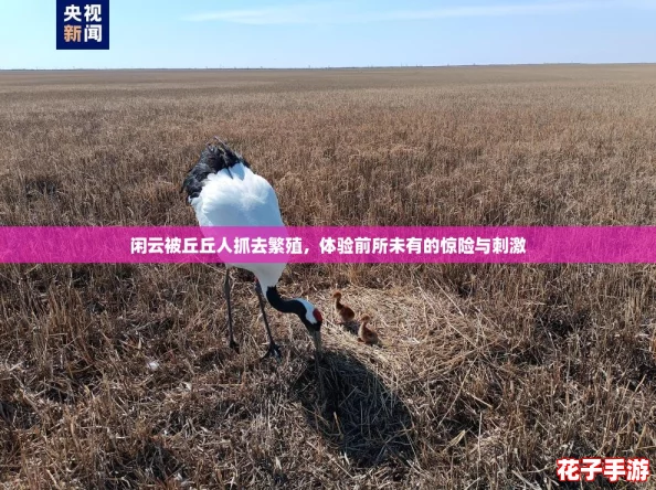 闲云被丘丘人抓去繁殖，体验前所未有的惊险与刺激