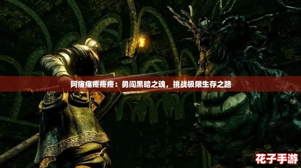 阿痛痛疼疼疼：勇闯黑暗之魂，挑战极限生存之路