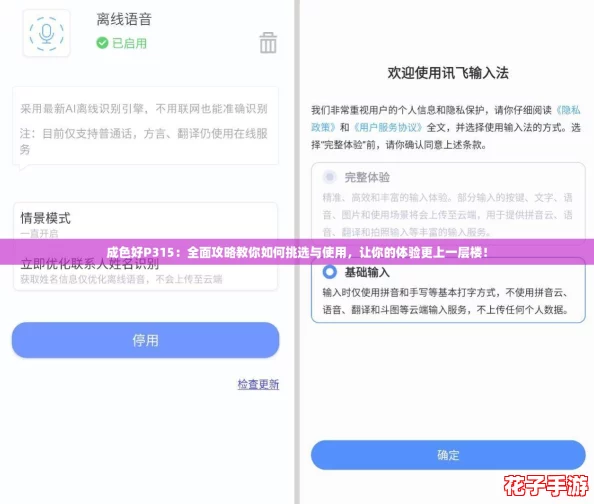 成色好P315：全面攻略教你如何挑选与使用，让你的体验更上一层楼！