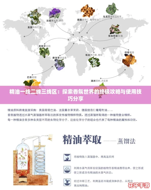 精油一线二线三线区：探索香氛世界的终极攻略与使用技巧分享