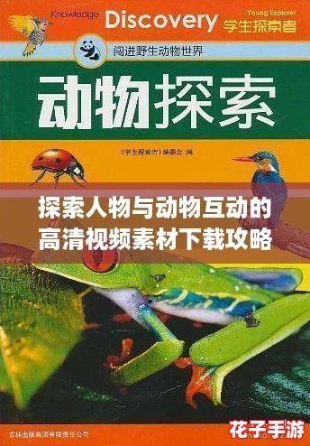 探索人物与动物互动的高清视频素材下载攻略，助你轻松获取精彩内容！