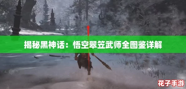 揭秘黑神话：悟空翠笠武师全图鉴详解