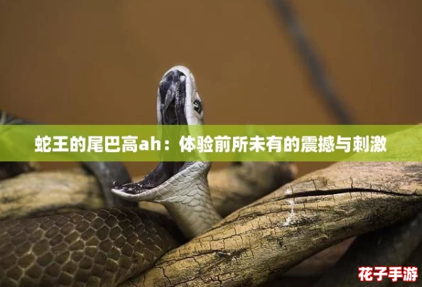 蛇王的尾巴高ah：体验前所未有的震撼与刺激