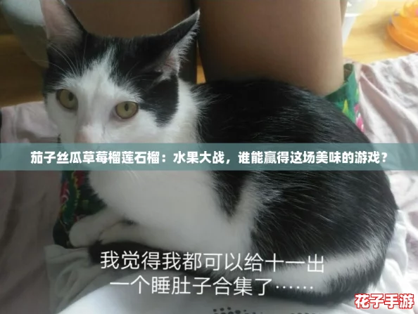 茄子丝瓜草莓榴莲石榴:水果大战,谁能赢得这场美味的游戏? 茄子丝瓜草莓榴莲石榴:水果大战,谁能赢得这场美味的游戏?