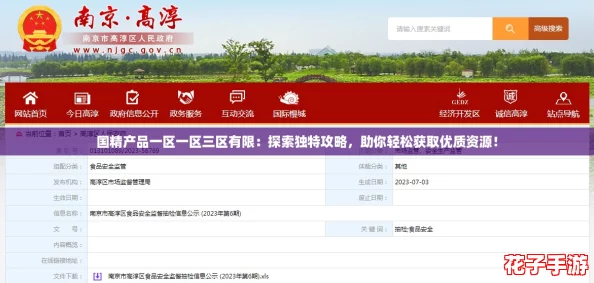 国精产品一区一区三区有限：探索独特攻略，助你轻松获取优质资源！