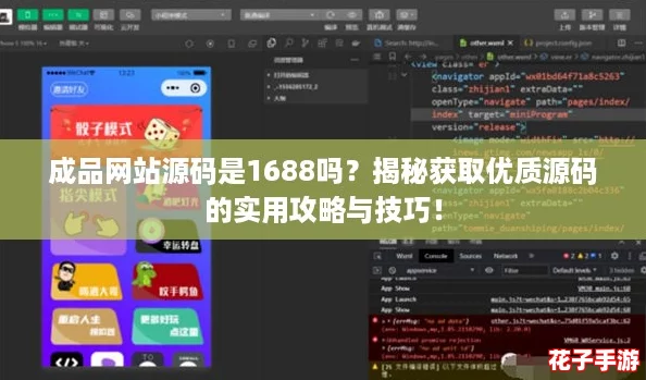 成品网站源码是1688吗？揭秘获取优质源码的实用攻略与技巧！