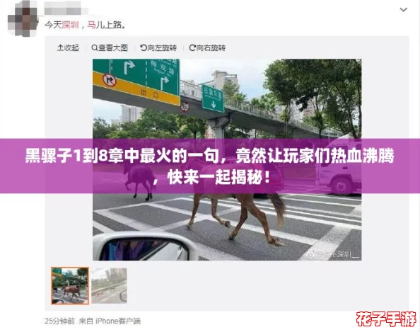 黑骡子1到8章中最火的一句,竟然让玩家们热血沸腾,快来一起揭秘! 黑骡子1到8章中最火的一句,竟然让玩家们热血沸腾,快来一起揭秘!
