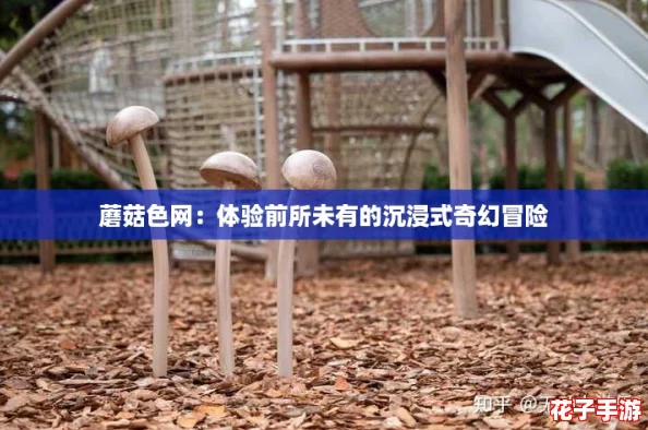 蘑菇色网：体验前所未有的沉浸式奇幻冒险