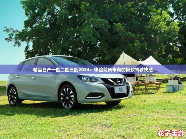 精品日产一匹二匹三匹2024:体验前所未有的极致驾驶快感 精品日产一匹二匹三匹2024:体验前所未有的极致驾驶快感